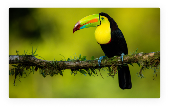 costa-rica