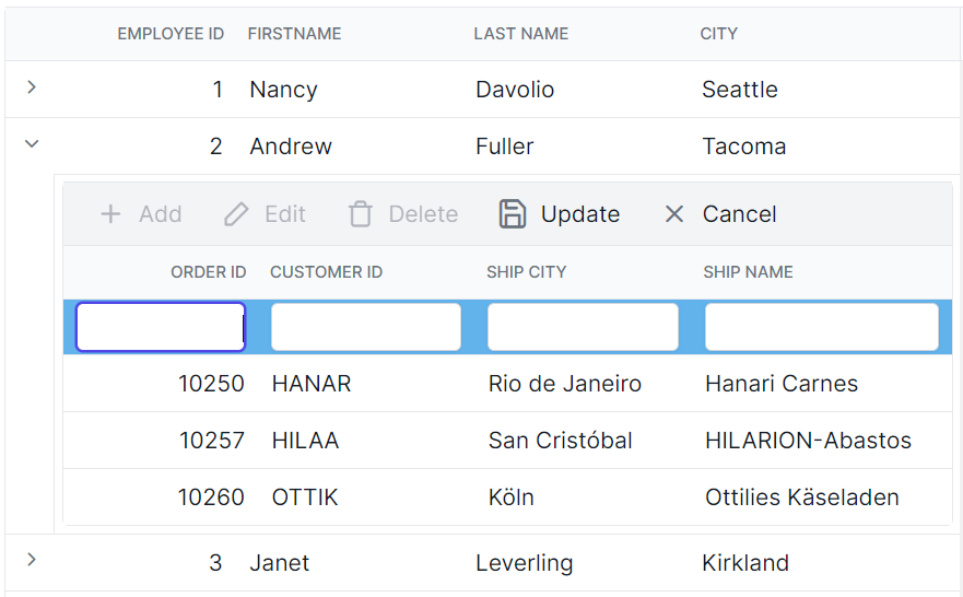 Child Grid customizing the added row element in Angular.