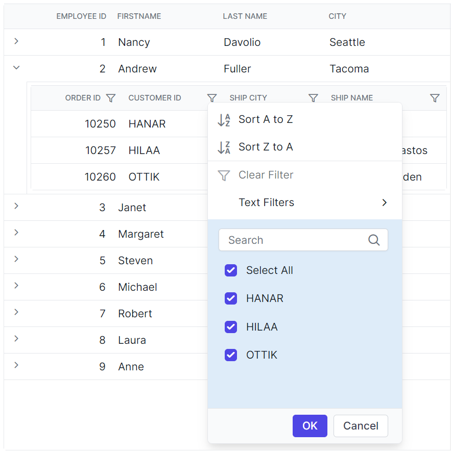 Angular Grid filter dialog content.