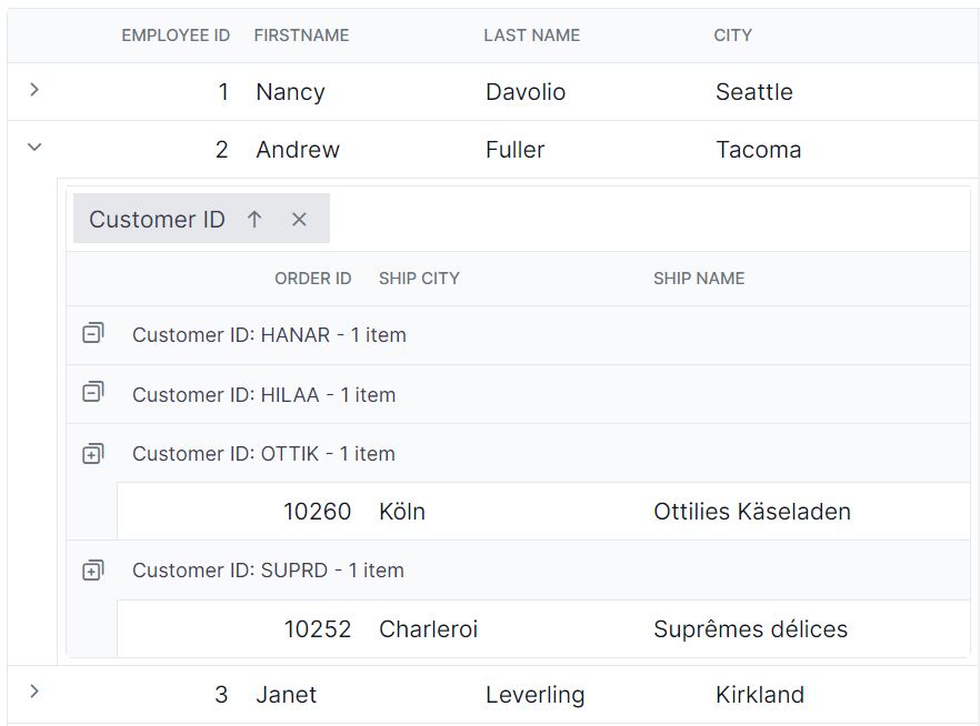 Child Grid group expand or collapse icons in Angular.