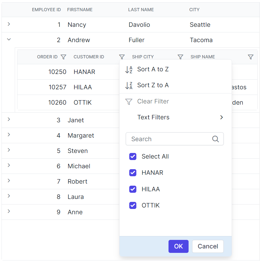 Angular Grid filter dialog footer.