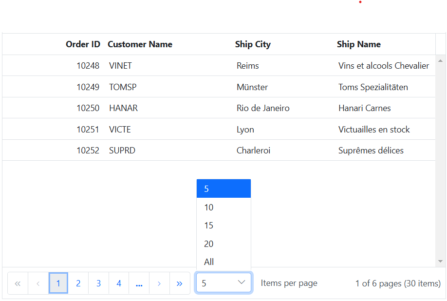 Customize page size dropdown