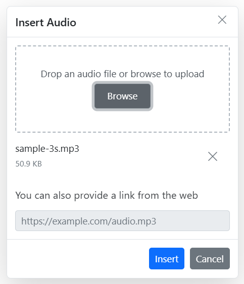 Rich Text Editor Audio delete