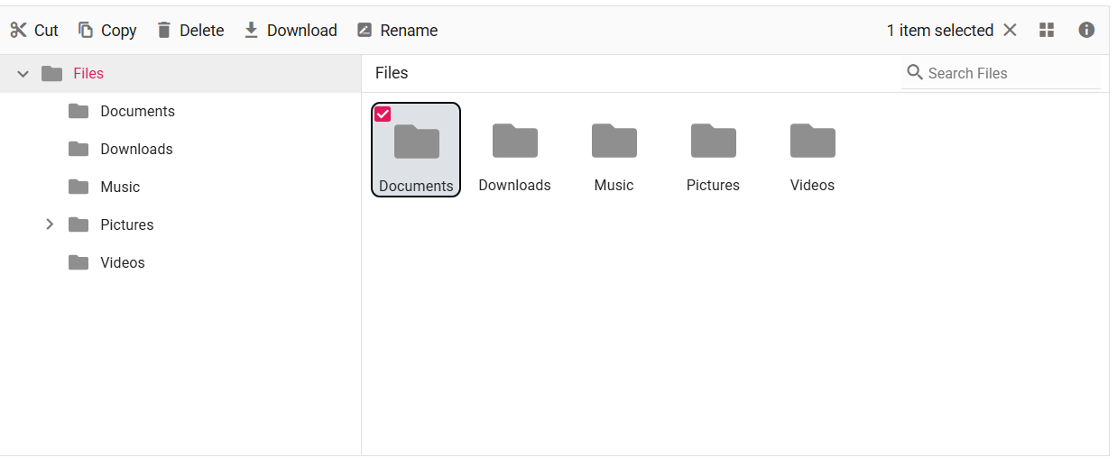Javascript File Manager Customization Selected File