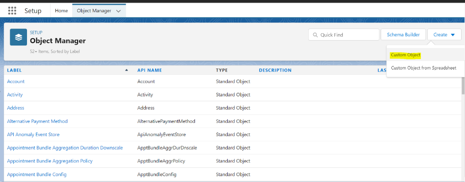 Salesforce Object manager