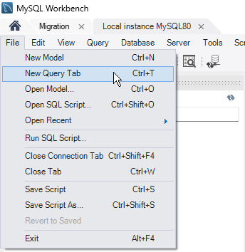 MySQL Workbench query editor connected to the database server
